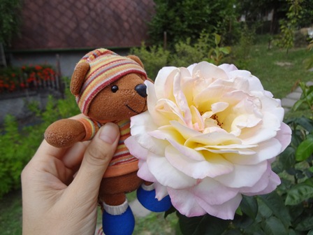 H5-27rose.jpg